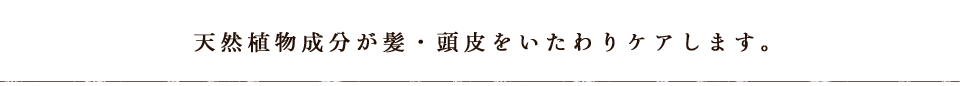 天然植物成分が髪・頭皮をいたわりケアします。